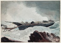 The Wrecked Schooner by Winslow Homer