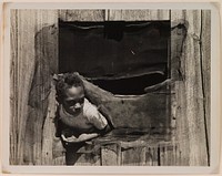 Sharecropper Girl, Texas by Russell Lee