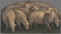 Sheep, Maximilian Ratskay