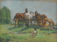 Horses by Ferdinand Katona