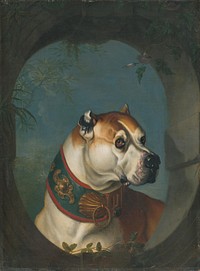 Portrait of a dog