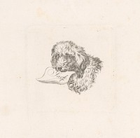 Dog with a letter