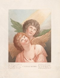 Cherubs, Pietro Vedovato