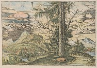 Country, Albrecht Altdorfer