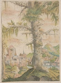 Country, Albrecht Altdorfer