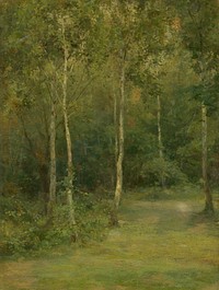 Wooded landscape with little birches by Lajos Csordák