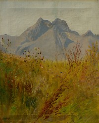 Lomnický peak by László Mednyánszky
