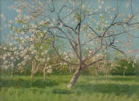 Study of blooming trees in an orchard by László Mednyánszky