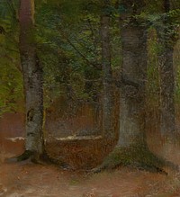 Study of forest by László Mednyánszky