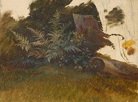 Mountain vegetation  by Friedrich Carl von Scheidlin