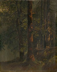 Interior of forest, Karol ľudovít Libay