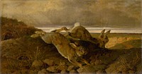 Running rabbits  by Friedrich Carl von Scheidlin