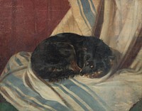 Study of a dog lying down  by Friedrich Carl von Scheidlin