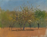 Trees in bloom by László Mednyánszky