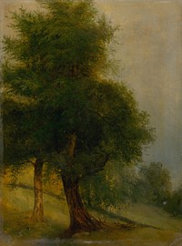 Trees on a slope, Jozef Bozetech Klemens