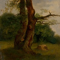 Study of a leafy tree, Jozef Bozetech Klemens