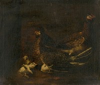 Hen with chicken