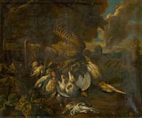 Still life with dead birds