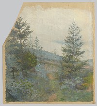 Spruce, Jan Novopacký