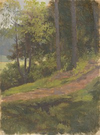 Path on the edge of the forest, Jan Novopacký