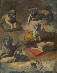 Study of a dog, Jan Novopacký