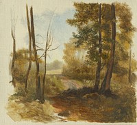 Forest path, Jan Novopacký