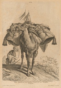 Caravan, Johann Elias Ridinger