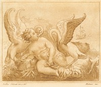 Putto with two swans, Francesco Salviati