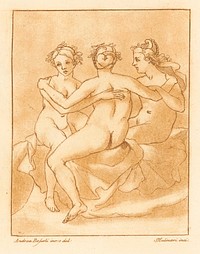 Three graces, Andrea Boscoli