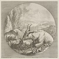 A herd in a mountain landscape, Johann Elias Ridinger