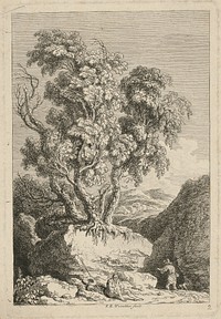 Old tree, Franz Edmund Weirotter