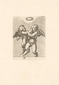 Putti, tab. xxiv.