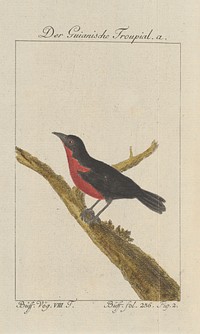 3. illustration