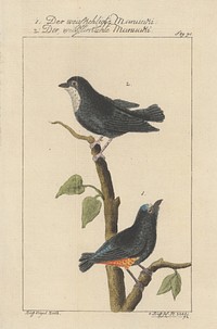 5. illustration