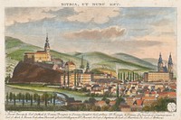 Nitra, Josef Wiesner