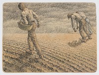 In the field, Ivan Žabota