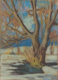 Study of a bare tree in the winter by Zolo Palugyay