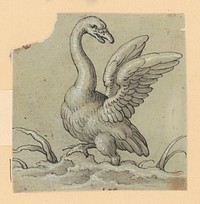 Swan