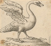 Standing swan