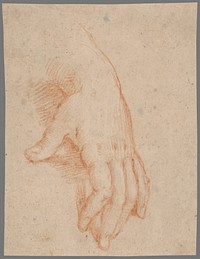 Female hand