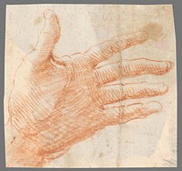 Study of open left hand