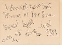 Dog studies by Arnold Peter Weisz Kubínčan