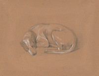 Sleeping dog by Friedrich Carl von Scheidlin by Friedrich Carl von Scheidlin