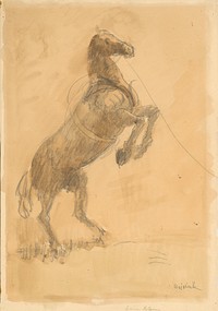 Rearing horse by Cyprián Majerník