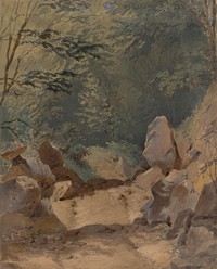 Forest scenery with rocks  by Friedrich Carl von Scheidlin