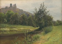 Swamp under slanecký castle by Lajos Csordák