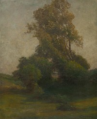 A tree in the landscape by Lajos Csordák