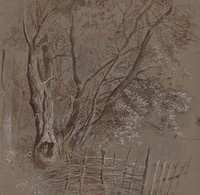 A study of trees by László Mednyánszky