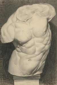 Torso cast study, František Klimkovič