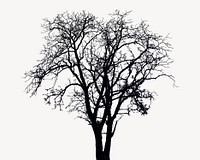 Dry tree silhouette collage element, isolated image